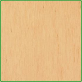 Винил Standard Plus 485