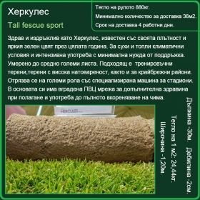 Херкулес - Tall fescue sport - тревна настилка на рула