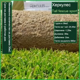 Херкулес - Tall fescue sport - тревна настилка на рула