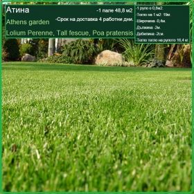 Атина градина - Lolium Perenne, Tall fescue, Poa pratensis - на руло