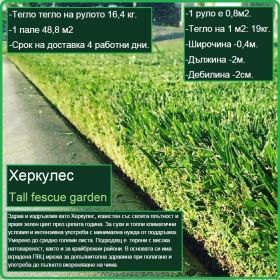 Херкулес градина - Tall fescue garden - естествена настилка - на руло