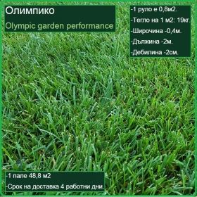 Херкулес градина - Tall fescue garden - естествена настилка - на руло