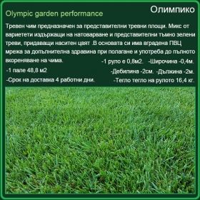 Херкулес градина - Tall fescue garden - естествена настилка - на руло