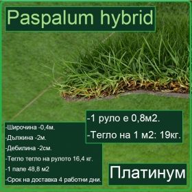 Платинум градина - Paspalum hybrid - настилка на рула