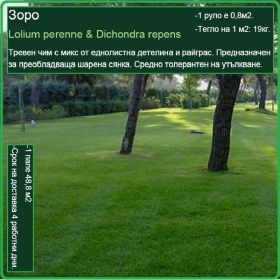 Зоро градина - Lolium perenne & Dichondra repens - на рула