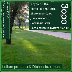 Зоро градина - Lolium perenne & Dichondra repens - на рула