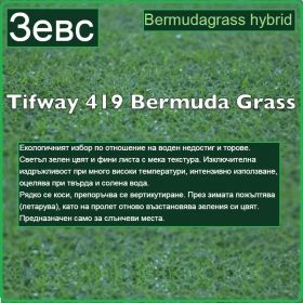 Зевс градина - Bermudagrass hybrid - тревна настилка на рула