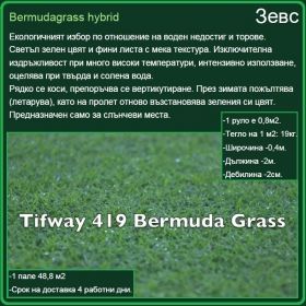 Зевс градина - Bermudagrass hybrid - тревна настилка на рула