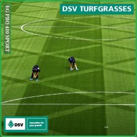 EG PRO 410 sport - тревна смеска за изграждане на футболни терени от DSV