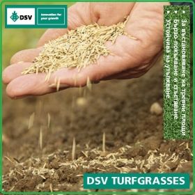 Speed Green - тревно семе за възтановяване на зелени терени, DSV
